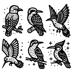 Fototapeta premium set icon Bird Outlines, Coloring SVG Clipart, Kid Party Coloring Activity Clipart Stamp, Eagle Hawk Woodpecker Hummingbird Bluejay, black and white.svg
