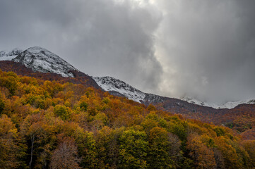 Molise, Mainarde. Autumn landscape. Foliage