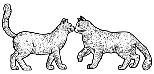 Cat love couple greeting sketch PNG