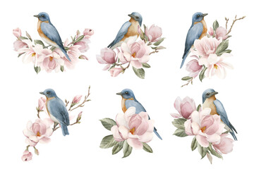 Blue birds on a branches with light pink magnolia flowers. Set of watercolor illustrations hand painted isolated