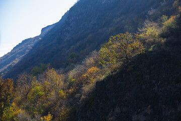 Autumn landscape with forest mountains, Armenia