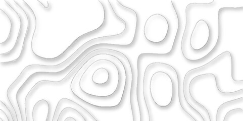 Papercut shape abstract white background, Geographic mountain contours vector abstract background, Vector abstract white paper cut banner, topographic contours map background.