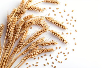 wheat grain bread flour isolated on white background