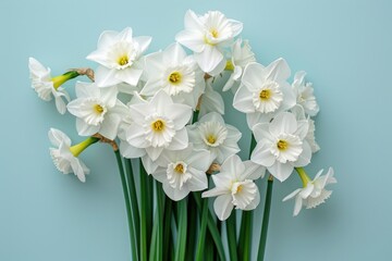 A bunch of white flowers on a blue surface. Suitable for various design projects