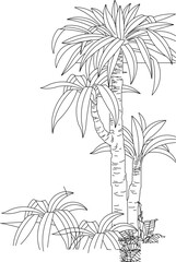 Detailed vector sketch of a plant tree design illustration for completeness of the image