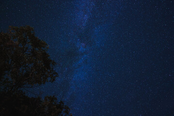 Fototapeta na wymiar Stunning night sky full of stars with Milky Way galaxy visible. Silhouette of tree adds to natural ambiance. Ideal for stargazing away from city lights.