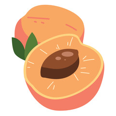 Apricot fruit vector illustration, buah aprikot or cots fruit isolated on white background, prunus armeniaca clipart, forbidden fruit image
