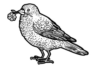 Canary bird with camomile daisy flower in beak sketch engraving PNG illustration. T-shirt apparel print design. Scratch board imitation. Black and white hand drawn image.