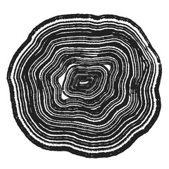 Cross section of tree stump slice with age rings. Black and white grunge wooden texture with concentric rings. Tree ring pattern isolated on white background. Wood grain