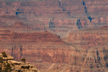 Explore breathtaking Grand Canyon landscape with stunning geology of reds, oranges, and browns....
