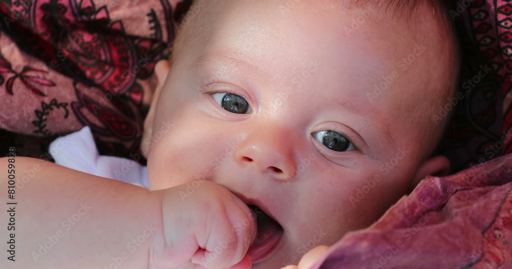 Wall mural Portrait of cute adorable newborn baby infant with hand in mouth