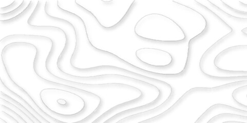 abstract morden Geometric layered curve line white abstract stripes of white background. topographic contours map background with geometric lines, topographic contours map background.		