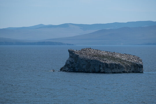 Water landscape, distant view of rocky island in Lake Baikal covered with many cormorants,on horizon faintly visible mountains of opposite shore, summer sunny day. Beautiful wild nature travel concept