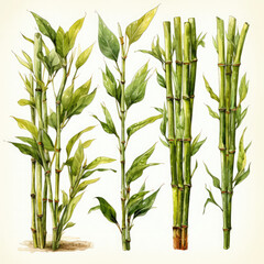 Watercolor Bamboo shoots Illustration, Generative Ai