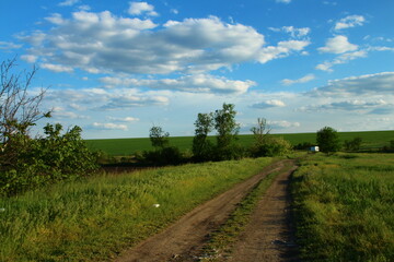 A dirt road through a field