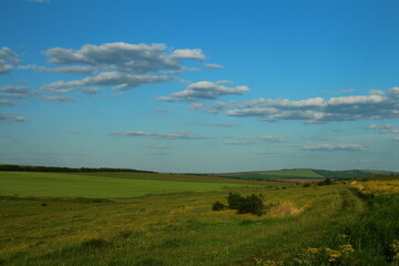 Obraz premium A grassy field with blue sky and clouds