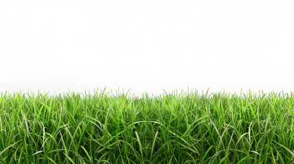 Obraz premium Springtime Bliss: Vibrant Green Grass on White. Generative AI
