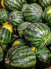 Lots of ripe green watermelons