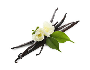 Vanilla pods, green leaves and flowers isolated on white