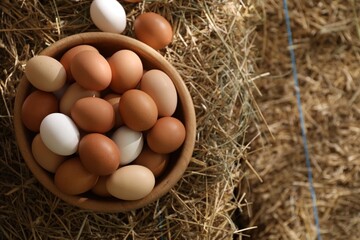 Fresh chicken eggs in bowl on dried straw bale, top view. Space for text