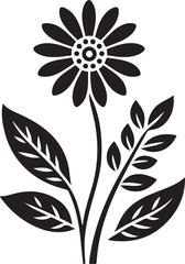 black and white flower