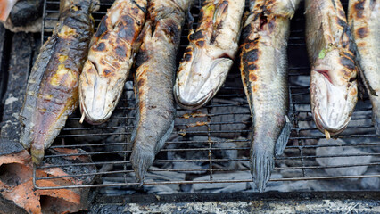 tasty street food in phnom penh
