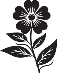 black and white flower