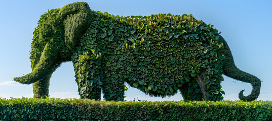 Ultra HD image of a hedge trimmed into the shape of an elephant, focusing on the texture of the leaves and the play of light and shadow on its form, captured in the late afternoon