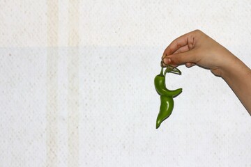 hand holding green chili-hand holding chili. Green chili red chili is held by person.