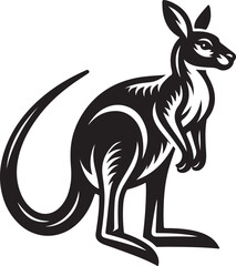 kangaroo illustration