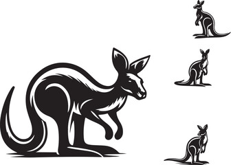 kangaroo illustration