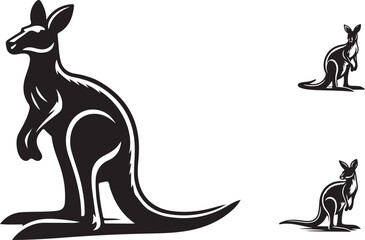 kangaroo illustration