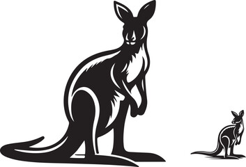kangaroo illustration