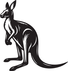 kangaroo illustration