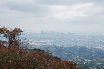 Impressive urban landscape view of Los Angeles under a cloudy sky. Hills with dry vegetation lead to residential areas and downtown skyline in the background.