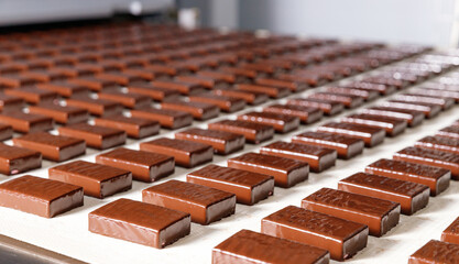 Closeup set Chocolate sweets candy on conveyor automatic line factory, top view