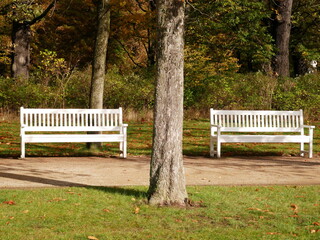 White benches along a walking path in Dresden's Great Park: tranquil oasis amidst city bustle,...