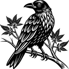 Fototapeta premium black-and-white-friendly-crow-on-a-branch