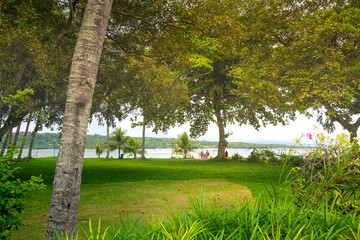 People getting into the dock or port in an island in the Philippines