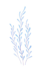 Coral isolated on white background. Watercolor illustration of a sea plant in blue color, single element. Nautical theme design and packaging, cute style