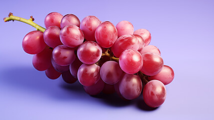 Fototapeta premium Grapes harvest. Farmers hands with freshly harvested black grapes.