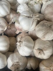 garlic on the market