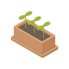 Growing pot - hand drawn isometric vector illustration.
