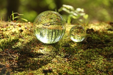 Beautiful green trees outdoors, overturned reflection. Crystal balls in forest