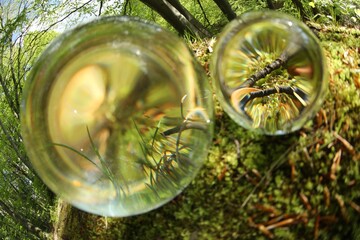 Green grass outdoors, overturned reflection. Crystal balls in forest