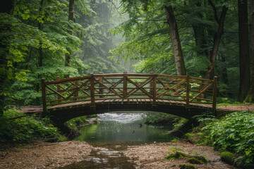 Fototapeta premium Wooden bridge gracefully arching over a tranquil stream in a dense, green forest. AI generated.