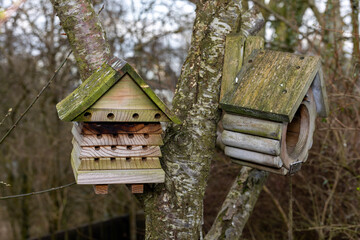 Wooden bee hotel or house peaked roof with empty nesting tunnels on garden tree