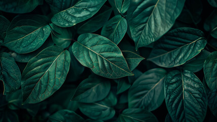 Detailed Botanical Design, Close-Up of Lush Green Leaves