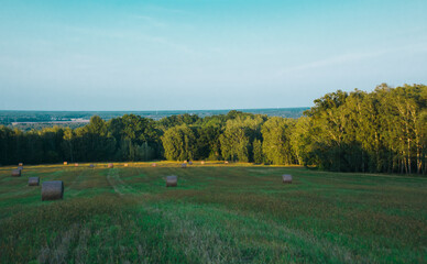 Fototapeta premium landscape with lake and forest