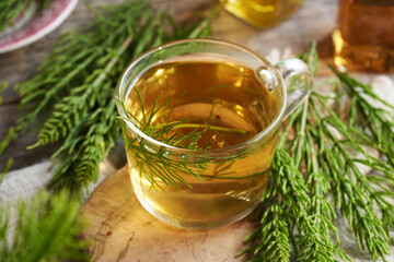 A cup of herbal tea with fresh horsetail plant on a table